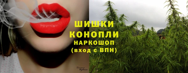 прущие грибы Арсеньев