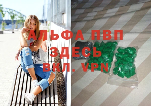 прущие грибы Арсеньев