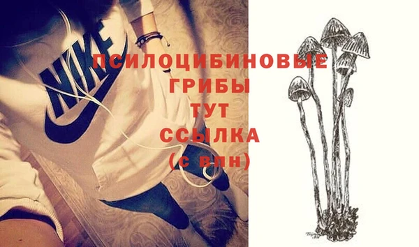 прущие грибы Арсеньев
