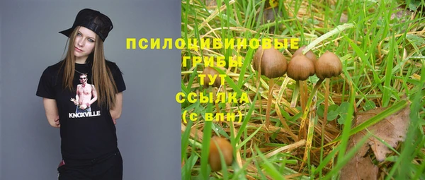 ALPHA PVP Армянск